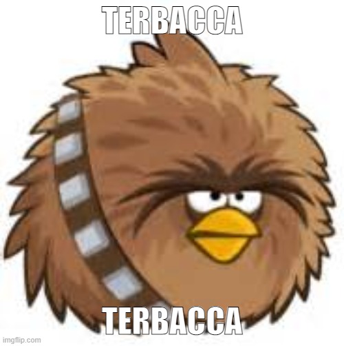 TERBACCA = SUSSY BA-- | TERBACCA; TERBACCA | image tagged in memes,angry birds,star wars | made w/ Imgflip meme maker
