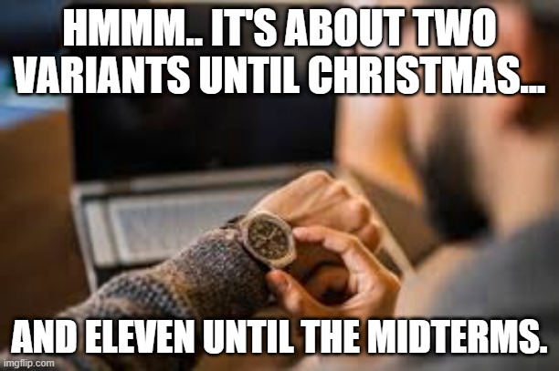 What Variant Time is It? | HMMM.. IT'S ABOUT TWO VARIANTS UNTIL CHRISTMAS... AND ELEVEN UNTIL THE MIDTERMS. | image tagged in covid-19 | made w/ Imgflip meme maker