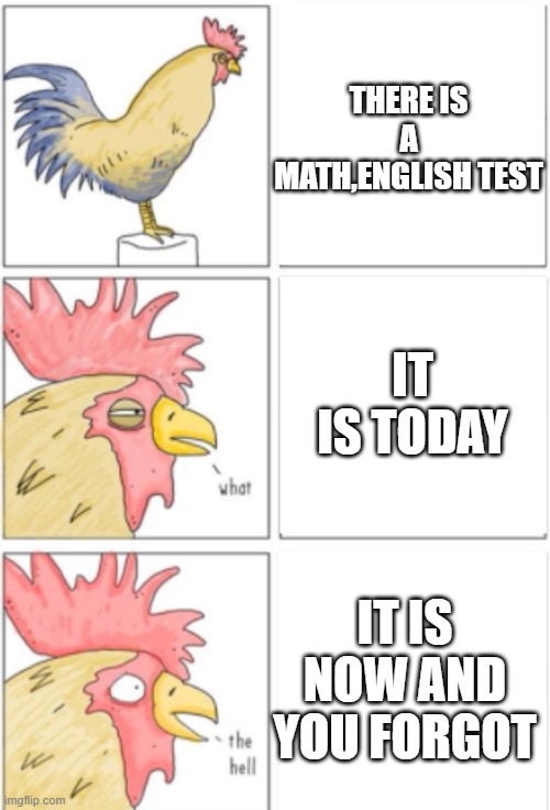 what!! | THERE IS A MATH,ENGLISH TEST; IT IS TODAY; IT IS NOW AND YOU FORGOT | image tagged in suprised chicken | made w/ Imgflip meme maker