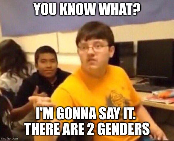 I'm just gonna say it | YOU KNOW WHAT? I'M GONNA SAY IT. 
THERE ARE 2 GENDERS | image tagged in i'm just gonna say it | made w/ Imgflip meme maker