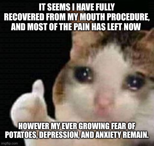 sad thumbs up cat | IT SEEMS I HAVE FULLY RECOVERED FROM MY MOUTH PROCEDURE, AND MOST OF THE PAIN HAS LEFT NOW; HOWEVER MY EVER GROWING FEAR OF POTATOES, DEPRESSION, AND ANXIETY REMAIN. | image tagged in sad thumbs up cat | made w/ Imgflip meme maker