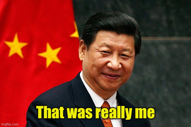 Xi Jinping | That was really me | image tagged in xi jinping | made w/ Imgflip meme maker