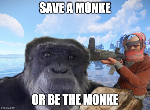 save monke | SAVE A MONKE; OR BE THE MONKE | image tagged in save monke | made w/ Imgflip meme maker