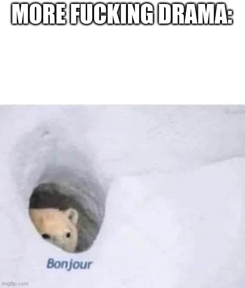 Bonjour | MORE FUCKING DRAMA: | image tagged in bonjour | made w/ Imgflip meme maker