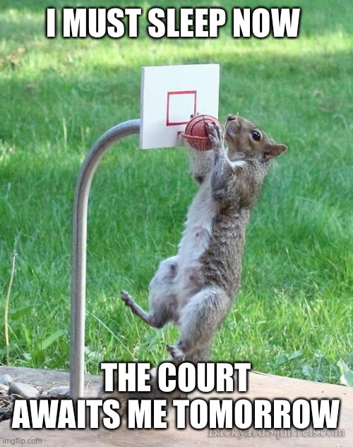 I have no idea why I worded it like this, I’m going to bed | I MUST SLEEP NOW; THE COURT AWAITS ME TOMORROW | image tagged in squirrel basketball | made w/ Imgflip meme maker