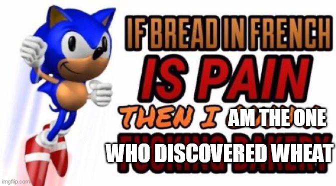 If bread in french is pain | WHO DISCOVERED WHEAT; AM THE ONE | image tagged in if bread in french is pain | made w/ Imgflip meme maker