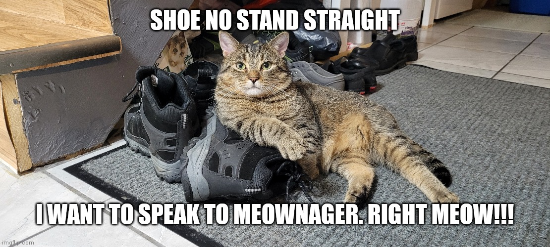 See the manager right now | SHOE NO STAND STRAIGHT; I WANT TO SPEAK TO MEOWNAGER. RIGHT MEOW!!! | image tagged in karen the manager will see you now,manager | made w/ Imgflip meme maker