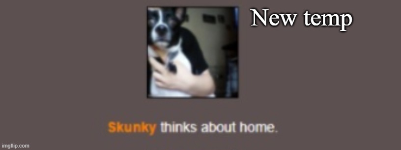 Skunky thinks about home | New temp | image tagged in skunky thinks about home | made w/ Imgflip meme maker