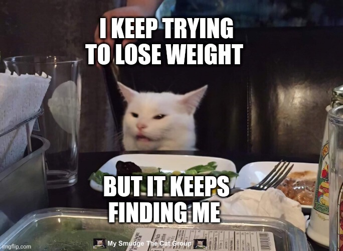 I KEEP TRYING TO LOSE WEIGHT; BUT IT KEEPS FINDING ME | image tagged in smudge the cat | made w/ Imgflip meme maker