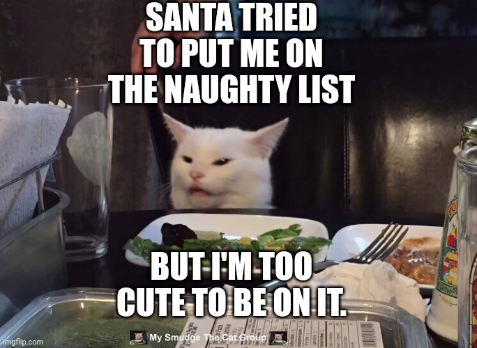 SANTA TRIED TO PUT ME ON THE NAUGHTY LIST; BUT I'M TOO CUTE TO BE ON IT. | image tagged in smudge the cat | made w/ Imgflip meme maker