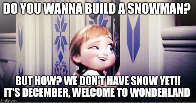 Welcome to Minnsnow where it snows a lot | DO YOU WANNA BUILD A SNOWMAN? BUT HOW? WE DON'T HAVE SNOW YET!! IT'S DECEMBER, WELCOME TO WONDERLAND | image tagged in do you wanna build a snowman | made w/ Imgflip meme maker