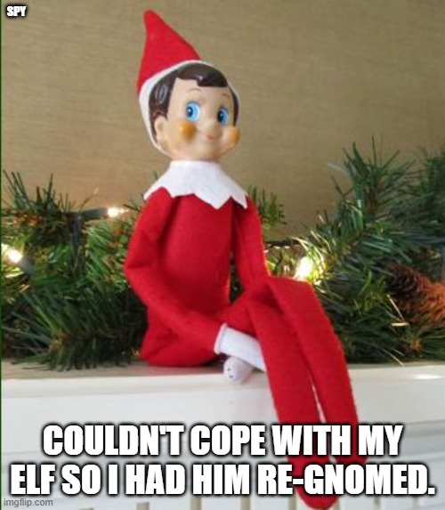Elf on a Shelf | SPY; COULDN'T COPE WITH MY ELF SO I HAD HIM RE-GNOMED. | image tagged in elf on a shelf | made w/ Imgflip meme maker
