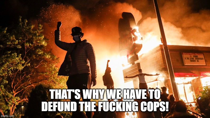 BLM Riots | THAT'S WHY WE HAVE TO DEFUND THE FUCKING COPS! | image tagged in blm riots | made w/ Imgflip meme maker