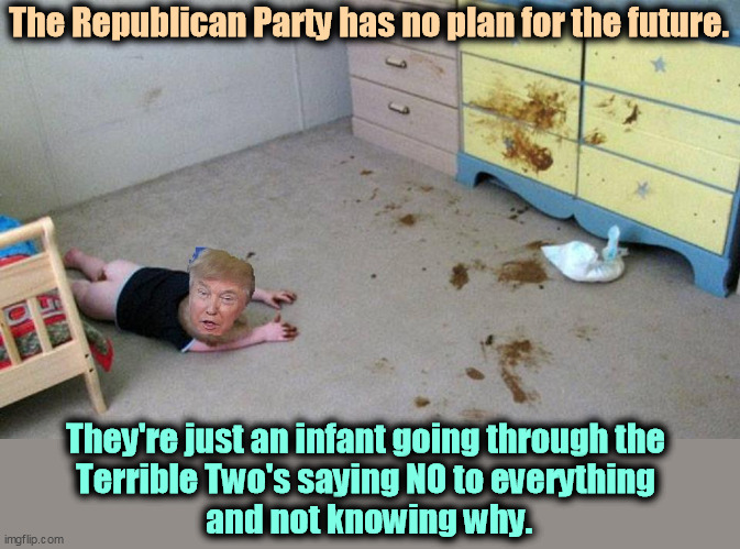 Temporary power. Permanent oblivion. | The Republican Party has no plan for the future. They're just an infant going through the 
Terrible Two's saying NO to everything 
and not knowing why. | image tagged in gop,worthless,empty,stupid,doomed | made w/ Imgflip meme maker