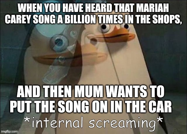 Relatable? | WHEN YOU HAVE HEARD THAT MARIAH CAREY SONG A BILLION TIMES IN THE SHOPS, AND THEN MUM WANTS TO PUT THE SONG ON IN THE CAR | image tagged in private internal screaming,christmas,mariah carey | made w/ Imgflip meme maker