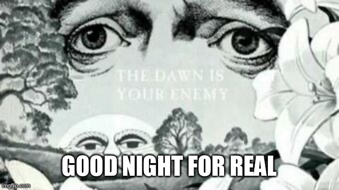 The Dawn is your enemy | GOOD NIGHT FOR REAL | image tagged in the dawn is your enemy | made w/ Imgflip meme maker