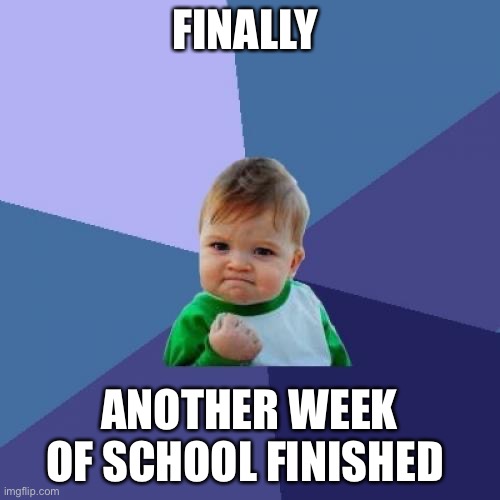 Success Kid Meme | FINALLY; ANOTHER WEEK OF SCHOOL FINISHED | image tagged in memes,success kid | made w/ Imgflip meme maker