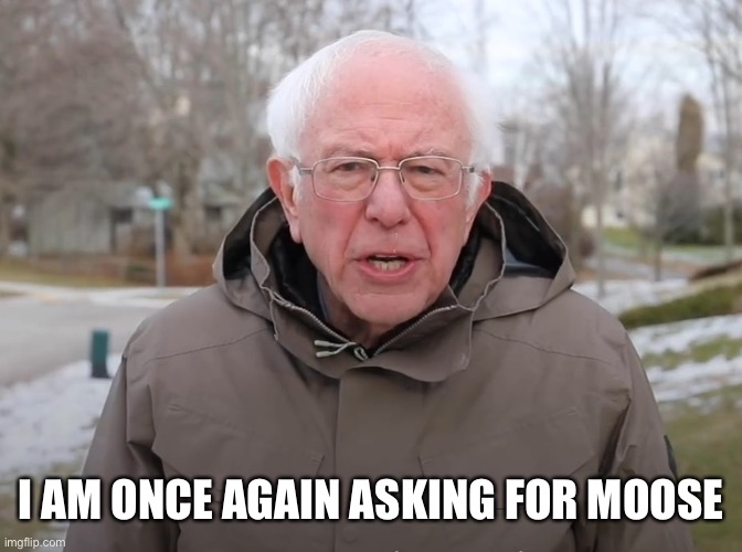 Bernie Sanders Once Again Asking | I AM ONCE AGAIN ASKING FOR MOOSE | image tagged in bernie sanders once again asking | made w/ Imgflip meme maker