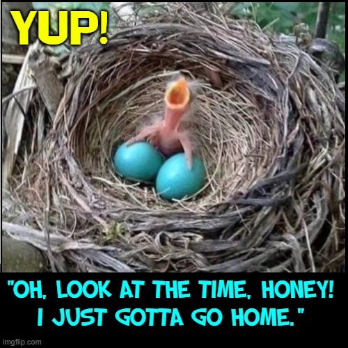 Painful Words! |  YUP! "OH, LOOK AT THE TIME, HONEY!
I JUST GOTTA GO HOME." | image tagged in vince vance,blue balls,robin,eggs,nest,baby bird | made w/ Imgflip meme maker