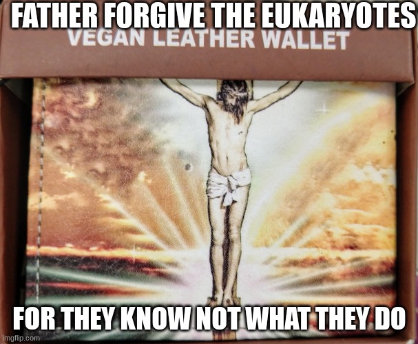 Vegan Jesus Kombucha Wallet | FATHER FORGIVE THE EUKARYOTES; FOR THEY KNOW NOT WHAT THEY DO | image tagged in vegan jesus wallet | made w/ Imgflip meme maker