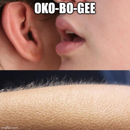 Okoboji | OKO-BO-GEE | image tagged in whisper and goosebumps,the x-files,x-files | made w/ Imgflip meme maker