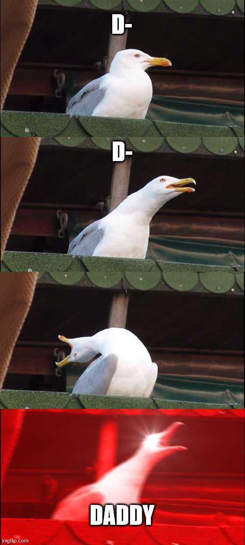 :) | D-; D-; DADDY | image tagged in memes,inhaling seagull | made w/ Imgflip meme maker