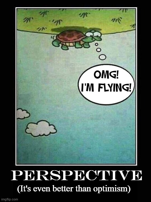 How's the air up there, amigo? |  OMG!
I'M FLYING! PERSPECTIVE; (It's even better than optimism) | image tagged in vince vance,turtles,optimism,perspective,memes,omg | made w/ Imgflip meme maker