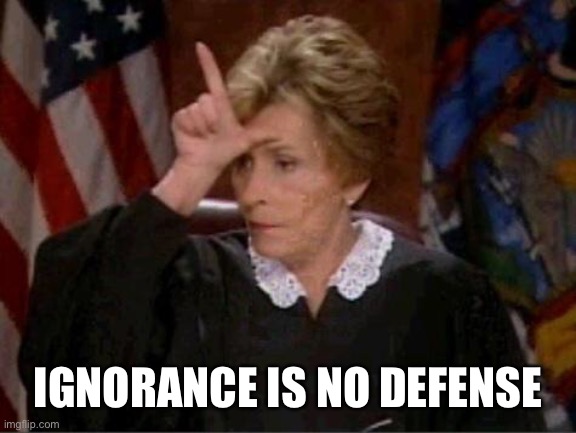 Judge Judy Loser | IGNORANCE IS NO DEFENSE | image tagged in judge judy loser | made w/ Imgflip meme maker