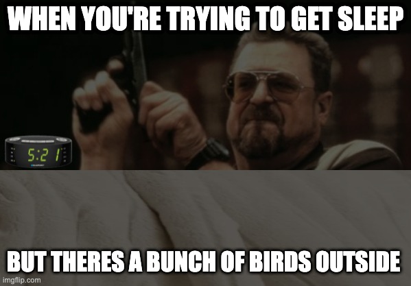 painful | WHEN YOU'RE TRYING TO GET SLEEP; BUT THERES A BUNCH OF BIRDS OUTSIDE | image tagged in annoying | made w/ Imgflip meme maker