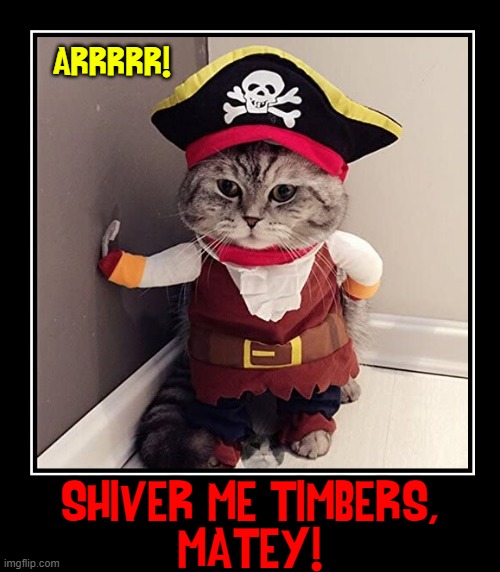 Things Cats has to endure just for a saucer of milk | ARRRRR! SHIVER ME TIMBERS,
MATEY! | image tagged in vince vance,cats,pirates,costume,i love  cats,meow | made w/ Imgflip meme maker