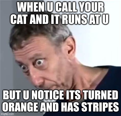 Rosen | WHEN U CALL YOUR CAT AND IT RUNS AT U; BUT U NOTICE ITS TURNED ORANGE AND HAS STRIPES | image tagged in rosen | made w/ Imgflip meme maker