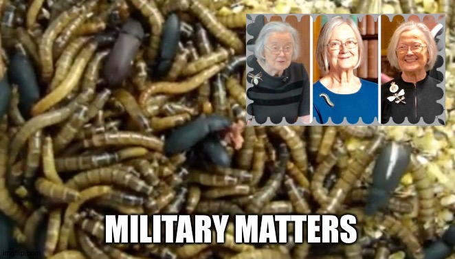Welcome to new Forces stream! | MILITARY MATTERS | image tagged in military,military humor,force,new stream | made w/ Imgflip meme maker