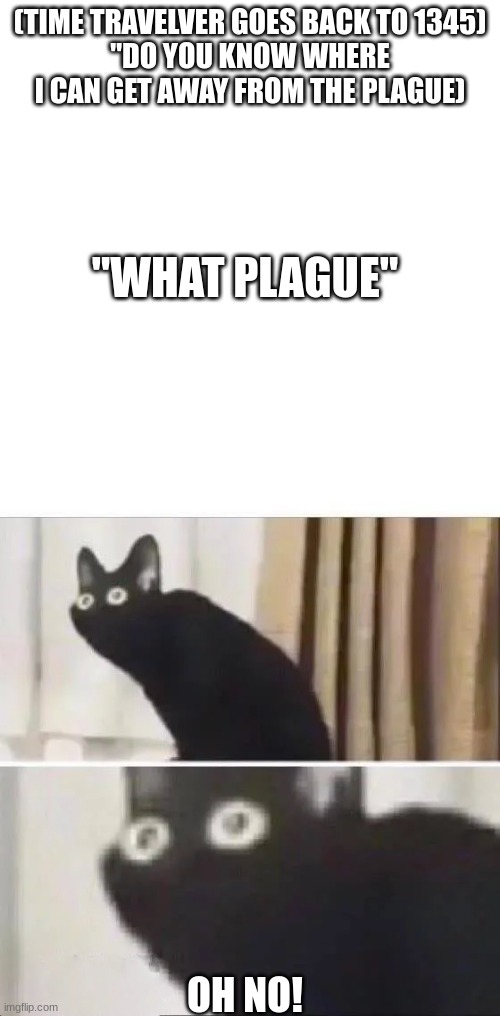 (TIME TRAVELVER GOES BACK TO 1345)
"DO YOU KNOW WHERE I CAN GET AWAY FROM THE PLAGUE); "WHAT PLAGUE"; OH NO! | image tagged in blank white template,oh no black cat | made w/ Imgflip meme maker