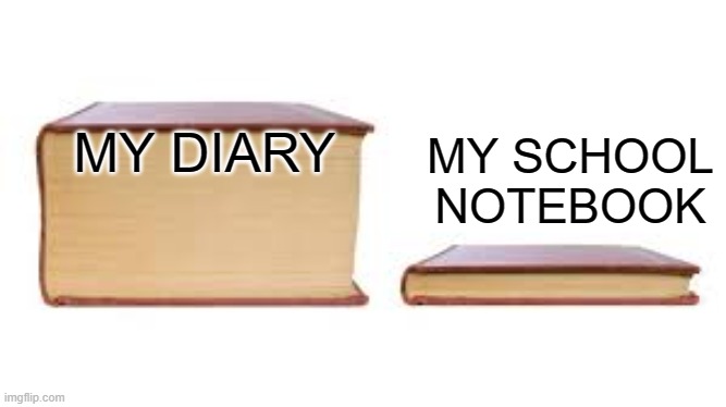 My Diary | MY SCHOOL NOTEBOOK; MY DIARY | image tagged in big book small book | made w/ Imgflip meme maker