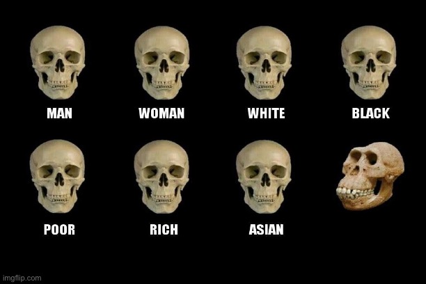 High Quality Xray Skulls Meme Blank Meme Template