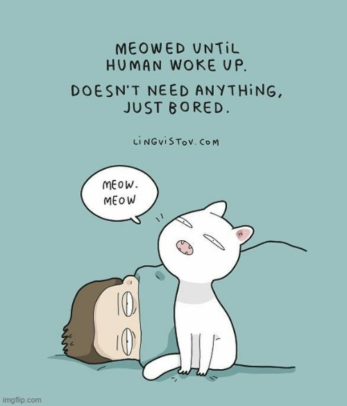 A Cat's Way Of Thinking | image tagged in memes,comics,cats,meow,no need to thank me,bored | made w/ Imgflip meme maker