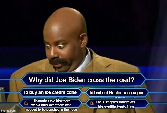 Who wants to be a millionaire? | Why did Joe Biden cross the road? To buy an ice cream cone; To bail out Hunter once again; His mother told him there was a bully over there who needed to be punched in the nose; He just goes wherever his senility leads him | image tagged in who wants to be a millionaire | made w/ Imgflip meme maker