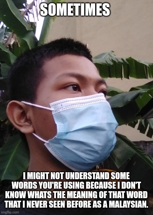 SOMETIMES; I MIGHT NOT UNDERSTAND SOME WORDS YOU'RE USING BECAUSE I DON'T KNOW WHATS THE MEANING OF THAT WORD THAT I NEVER SEEN BEFORE AS A MALAYSIAN. | image tagged in akifhaziq | made w/ Imgflip meme maker