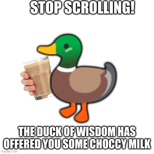 Blank Transparent Square Meme | STOP SCROLLING! 🦆; THE DUCK OF WISDOM HAS OFFERED YOU SOME CHOCCY MILK | image tagged in memes,blank transparent square | made w/ Imgflip meme maker