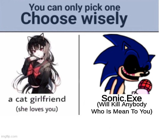 Choose wisely | Sonic.Exe; (Will Kill Anybody Who Is Mean To You) | image tagged in choose wisely | made w/ Imgflip meme maker