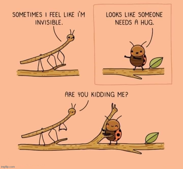 image tagged in comics/cartoons | made w/ Imgflip meme maker