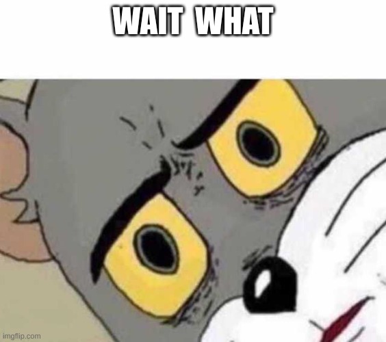 WAIT  WHAT | image tagged in tom cat unsettled close up | made w/ Imgflip meme maker