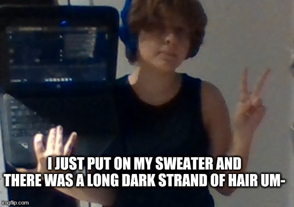 nobody with hair that long lives in my house- uhhhhhh- | I JUST PUT ON MY SWEATER AND THERE WAS A LONG DARK STRAND OF HAIR UM- | image tagged in chromebook mirror selfie lmao | made w/ Imgflip meme maker