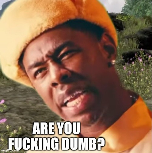 image tagged in are you f'ing dumb | made w/ Imgflip meme maker