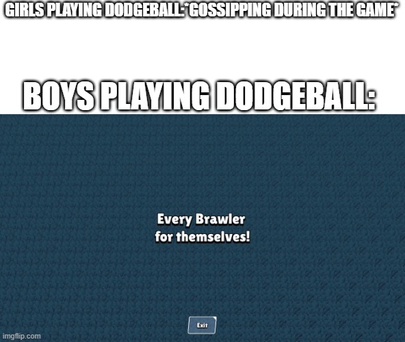 idk | GIRLS PLAYING DODGEBALL:*GOSSIPPING DURING THE GAME*; BOYS PLAYING DODGEBALL: | image tagged in free for all | made w/ Imgflip meme maker
