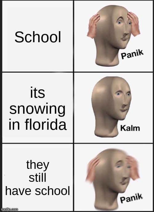 Florida wildin | School; its snowing in florida; they still have school | image tagged in memes,panik kalm panik | made w/ Imgflip meme maker