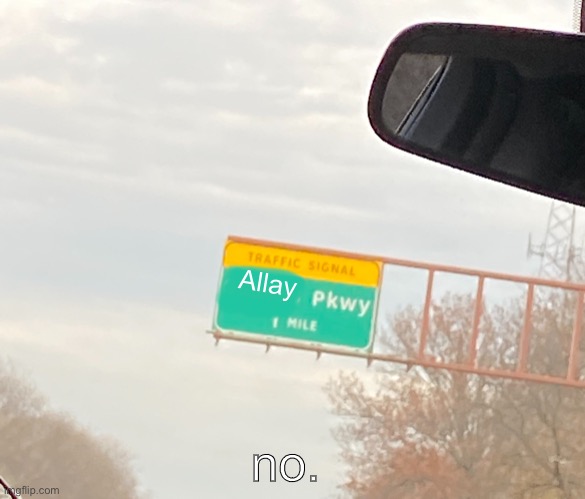 I have no title | Allay; no. | image tagged in traffic signal shales pkwy sign | made w/ Imgflip meme maker