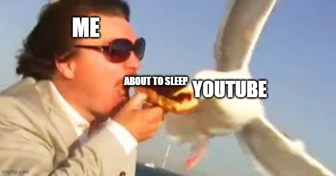 swiping seagull | ME; ABOUT TO SLEEP; YOUTUBE | image tagged in swiping seagull | made w/ Imgflip meme maker