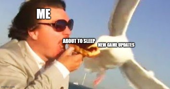 u p d a t e s | ME; ABOUT TO SLEEP; NEW GAME UPDATES | image tagged in swiping seagull | made w/ Imgflip meme maker