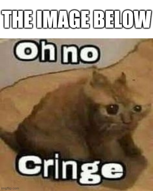 oH nO cRInGe | THE IMAGE BELOW | image tagged in oh no cringe | made w/ Imgflip meme maker